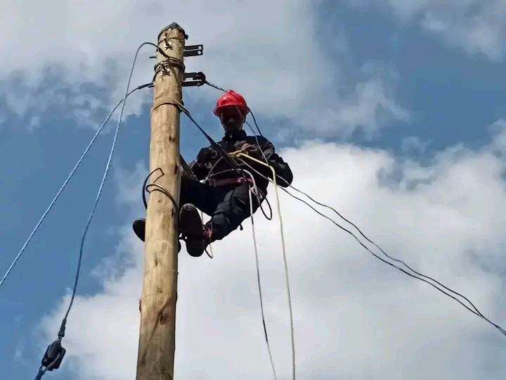 our Electrical and Electronic Engineer's